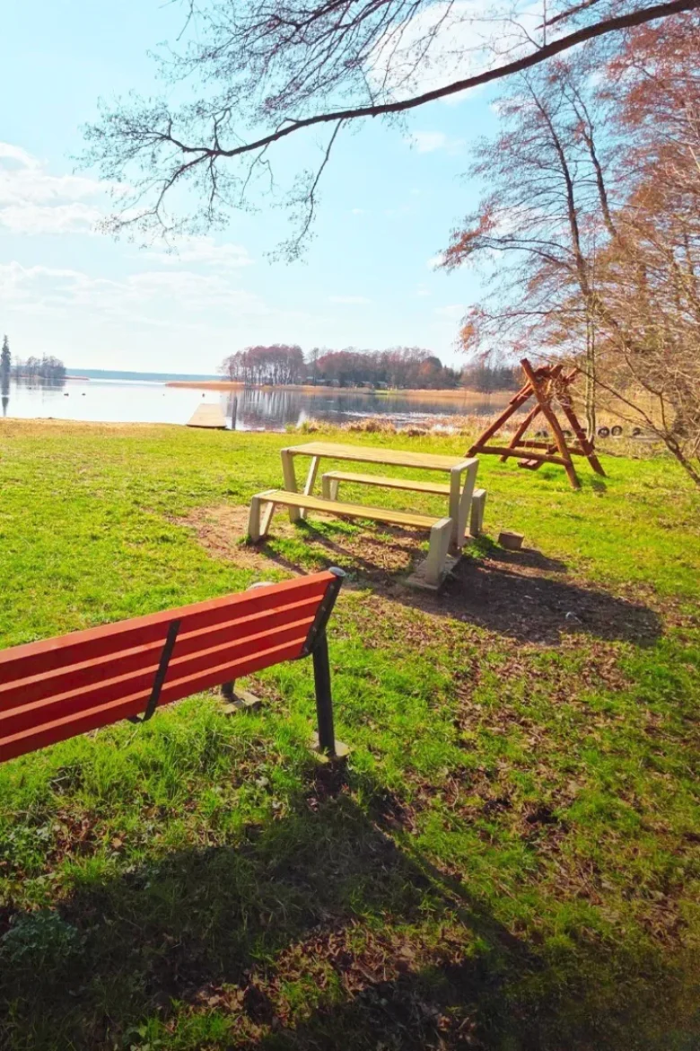 Jezioro Lubie - widok na zielen