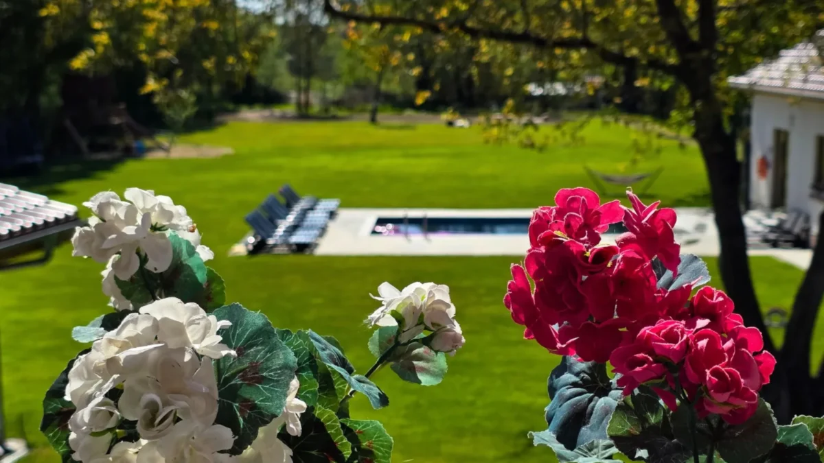 Widok na ogród z okien apartamentu