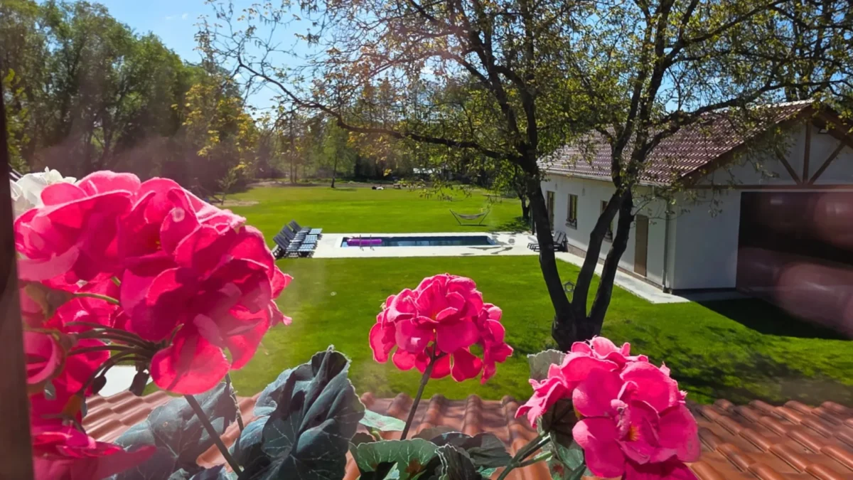 Widok na ogród z okien apartamentu