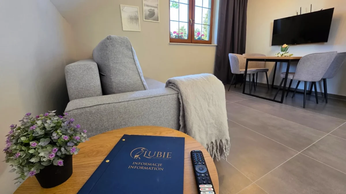 Salon z telewizorem i wygodną kanapą w LubieApartments