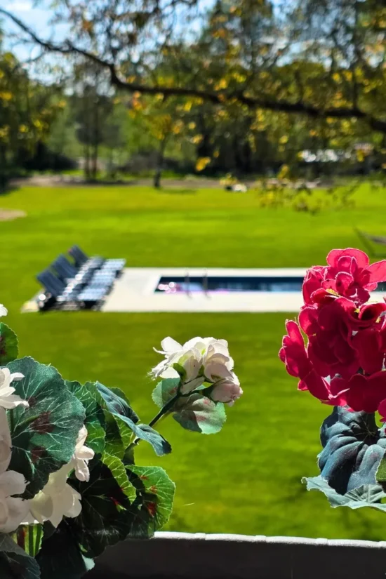 Apartamenty z basenem - widok