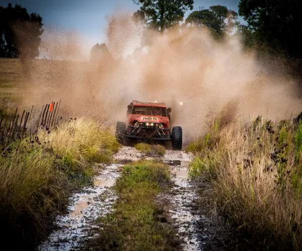 Baja Poland w okolicy apartamentów